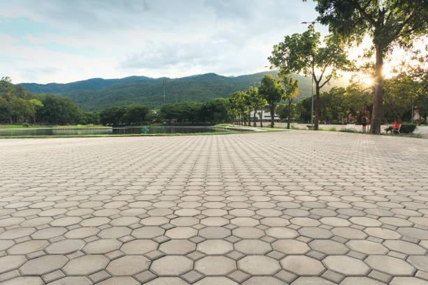 Best Driveway Paving Contractor  in La Marque, TX