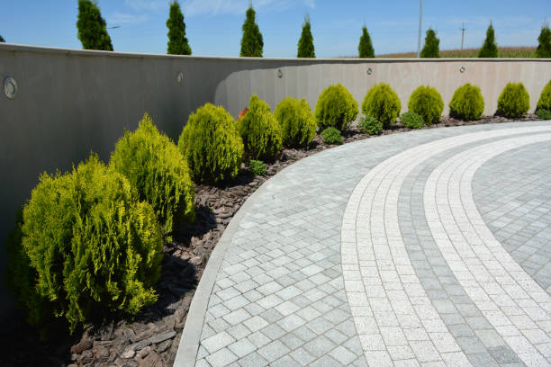 Best Local Driveway Pavers  in La Marque, TX